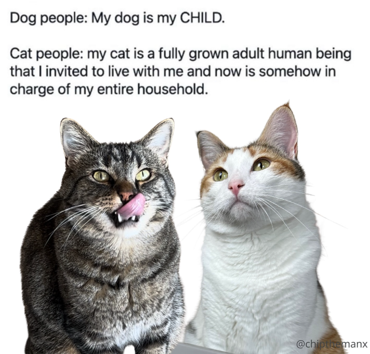 Dog people: My dog is my CHILD. Cat people: my cat is a fully grown adult human being that I invited to live with me and now is somehow in charge of my entire household. @chipthemanx