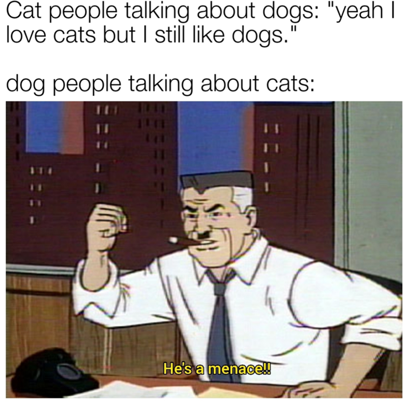 Cat people talking about dogs: "yeah I love cats but I still like dogs." dog people talking about cats: He's a menace!!