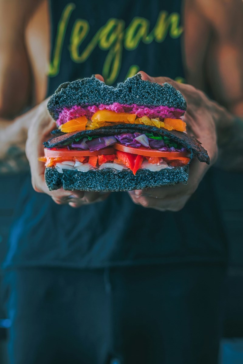 person holding a vegan sandwich with grey bread