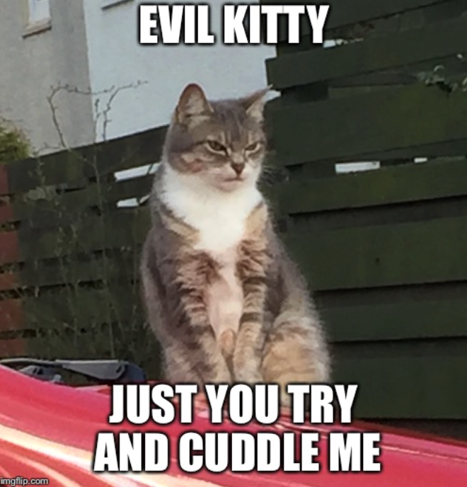 EVIL KITTY imgflip.com JUST YOU TRY AND CUDDLE ME