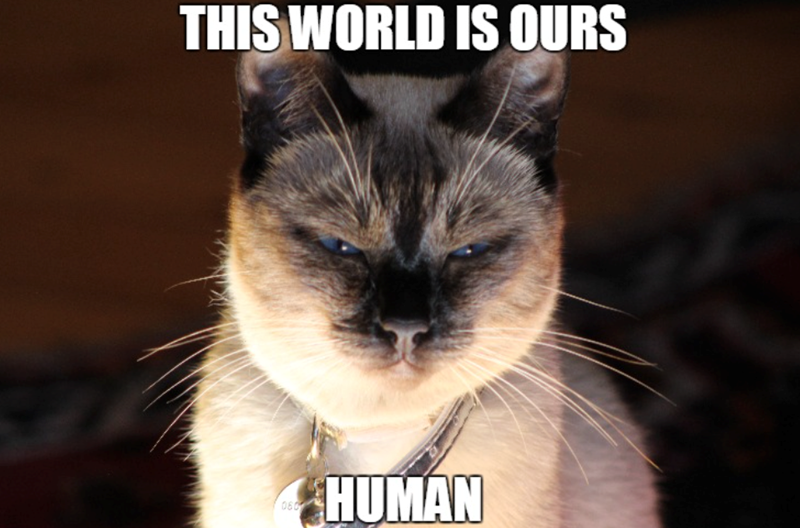 THIS WORLD IS OURS 060 HUMAN