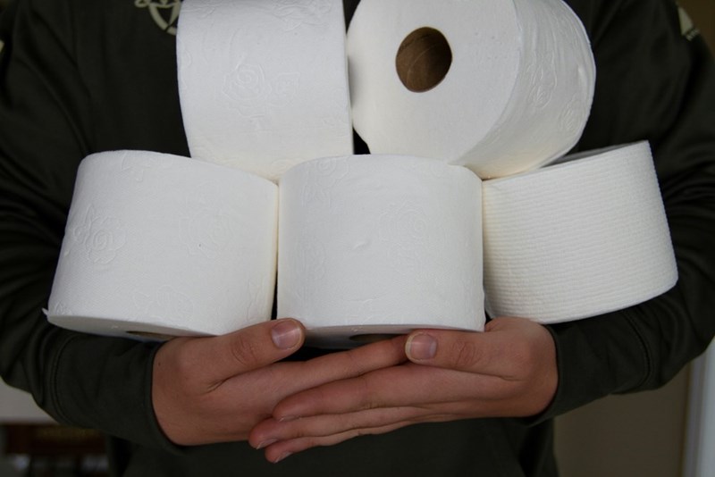 Person holding toilet paper rolls
