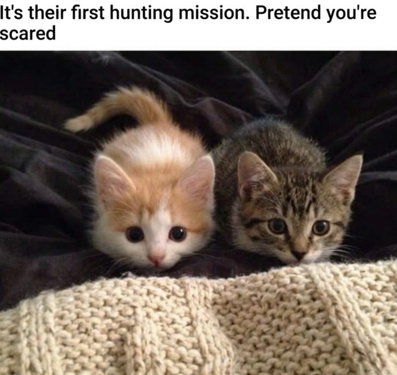 It's their first hunting mission. Pretend you're scared