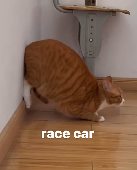 race car