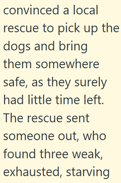 convinced a local rescue to pick up the dogs and bring them somewhere safe, as they surely had little time left. The rescue sent someone out, who found three weak, exhausted, starving