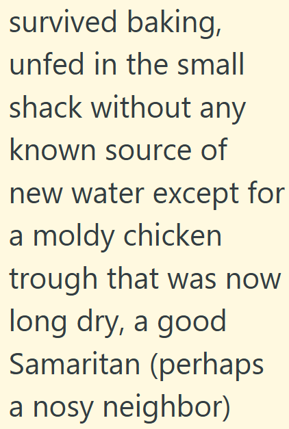 survived baking, unfed in the small shack without any known source of new water except for a moldy chicken trough that was now long dry, a good Samaritan (perhaps a nosy neighbor)