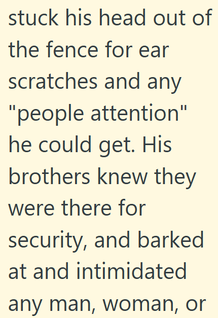 stuck his head out of the fence for ear scratches and any "people attention" he could get. His brothers knew they were there for security, and barked at and intimidated any man, woman, or