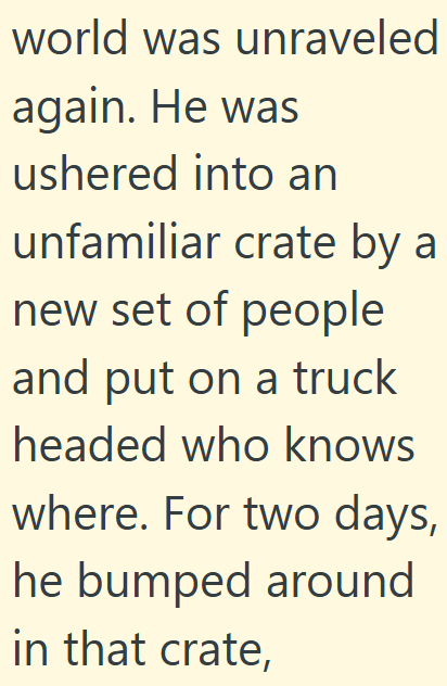 world was unraveled again. He was ushered into an unfamiliar crate by a new set of people and put on a truck headed who knows where. For two days, he bumped around in that crate,
