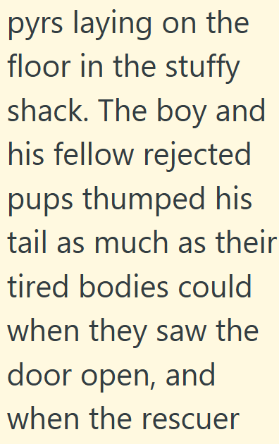 pyrs laying on the floor in the stuffy shack. The boy and his fellow rejected pups thumped his tail as much as their tired bodies could when they saw the door open, and when the rescuer