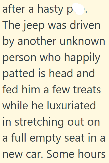 after a hasty p The jeep was driven by another unknown person who happily patted is head and fed him a few treats while he luxuriated in stretching out on a full empty seat in a new car. Some hours
