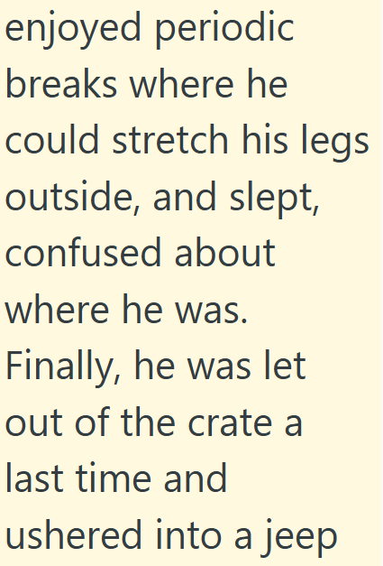 enjoyed periodic breaks where he could stretch his legs outside, and slept, confused about where he was. Finally, he was let out of the crate a last time and ushered into a jeep
