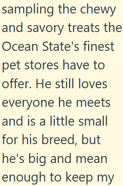 sampling the chewy and savory treats the Ocean State's finest pet stores have to offer. He still loves everyone he meets and is a little small for his breed, but he's big and mean enough to keep my
