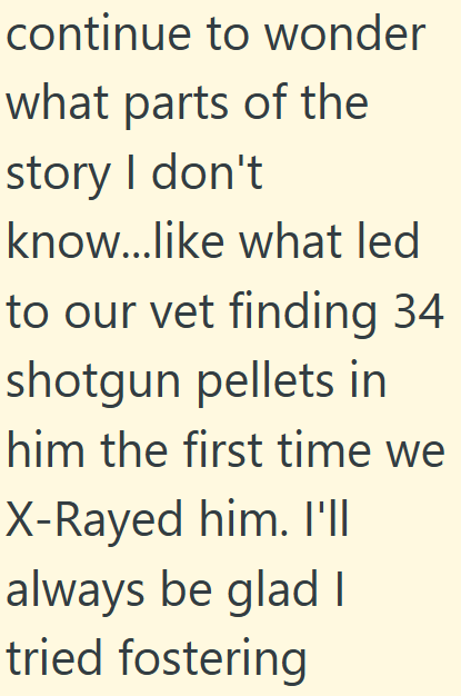 continue to wonder what parts of the story I don't know...like what led to our vet finding 34 shotgun pellets in him the first time we X-Rayed him. I'll always be glad I tried fostering