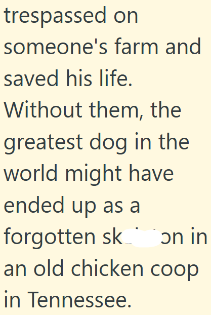 trespassed on someone's farm and saved his life. Without them, the greatest dog in the world might have ended up as a forgotten skɔn in an old chicken coop in Tennessee.
