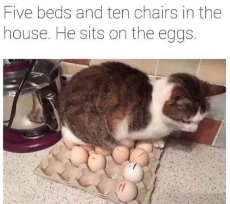 Five beds and ten chairs in the house. He sits on the eggs.