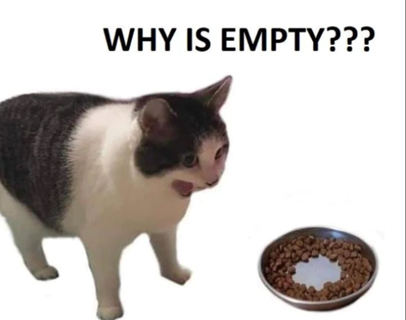WHY IS EMPTY???