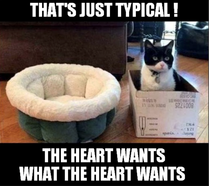 THAT'S JUST TYPICAL ! 179221008 TM6 spanis Jung THE HEART WANTS WHAT THE HEART WANTS