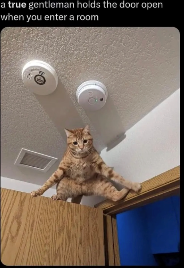 a true gentleman holds the door open when you enter a room