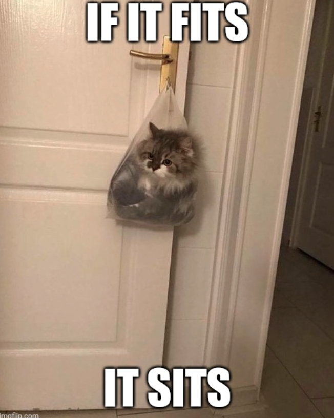 IF IT FITS imgflip.com IT SITS