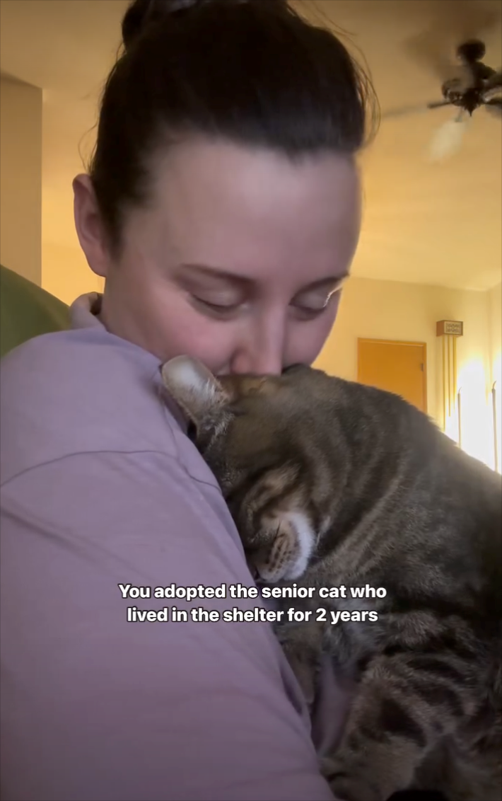 You adopted the senior cat who lived in the shelter for 2 years