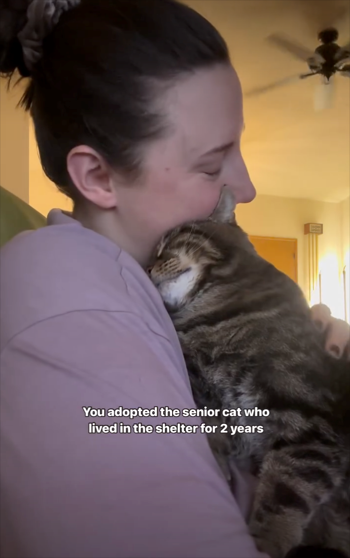 You adopted the senior cat who lived in the shelter for 2 years