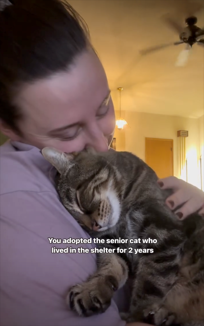 You adopted the senior cat who lived in the shelter for 2 years