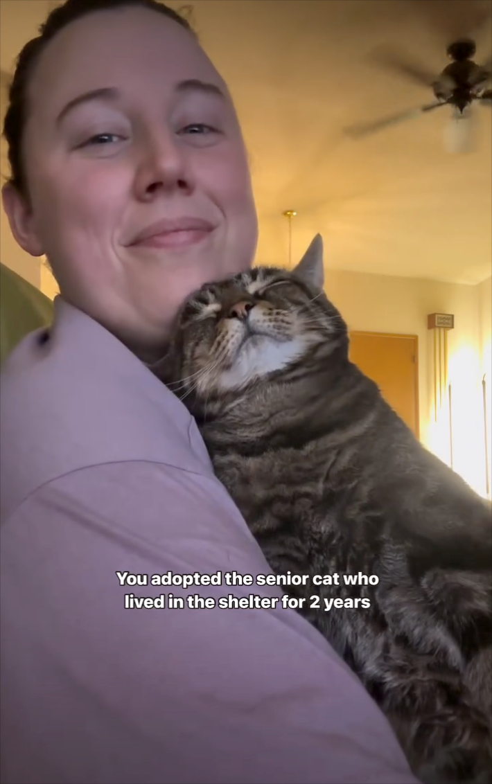 You adopted the senior cat who lived in the shelter for 2 years