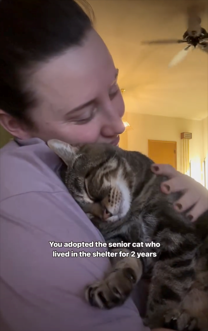 You adopted the senior cat who lived in the shelter for 2 years