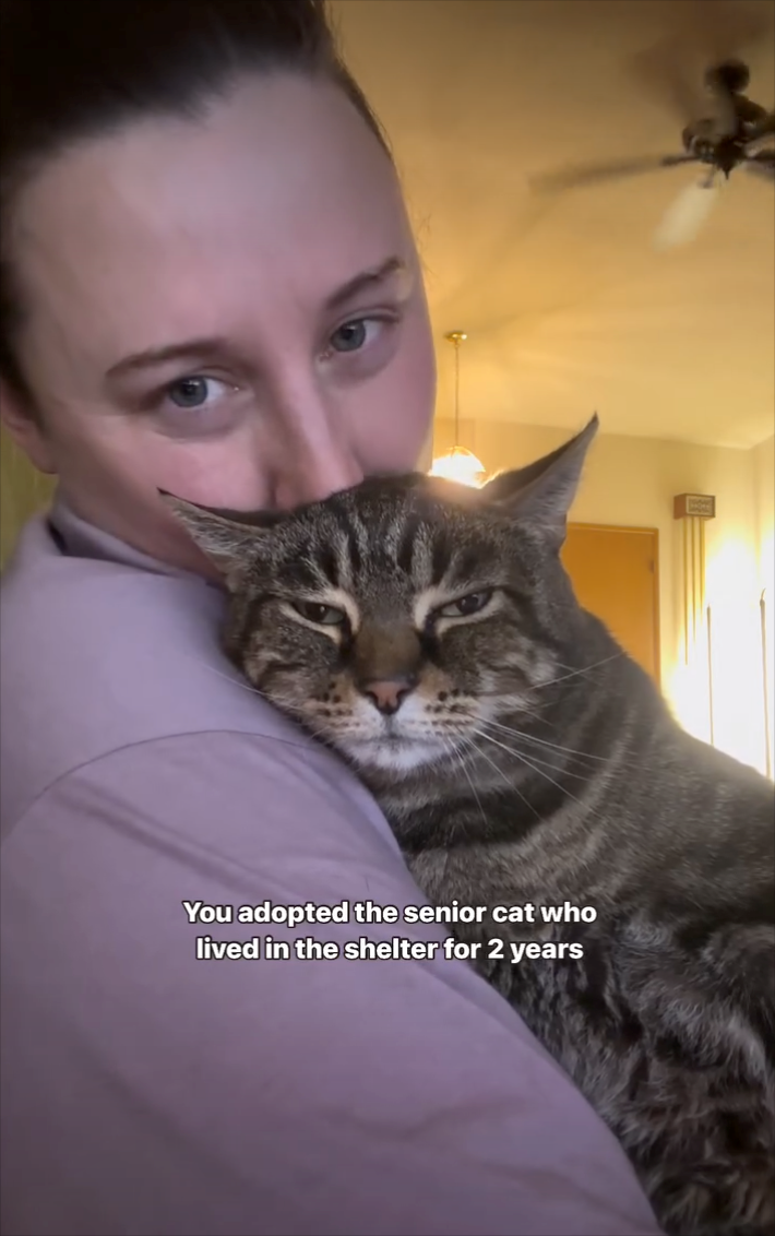 You adopted the senior cat who lived in the shelter for 2 years
