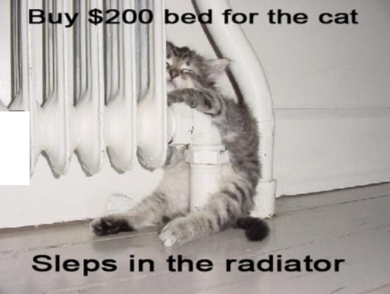 Buy $200 bed for the cat Sleps in the radiator