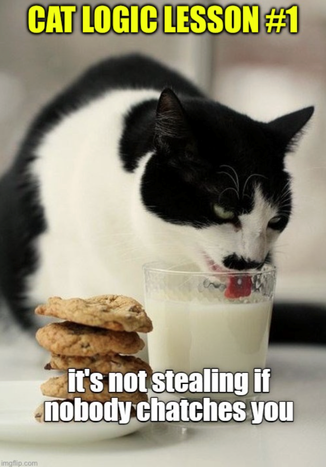 imgflip.com CAT LOGIC LESSON #1 it's not stealing if nobody chatches you