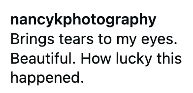 nancykphotography Brings tears to my eyes. Beautiful. How lucky this happened.