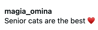 magia_omina Senior cats are the best