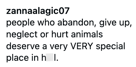 zannaalagic07 people who abandon, give up, neglect or hurt animals deserve a very VERY special place in h I.