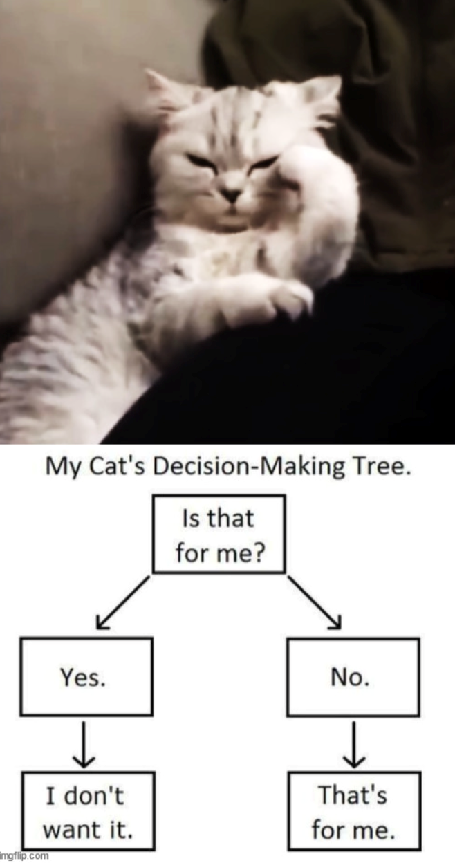 My Cat's Decision-Making Tree. Is that for me? imgflip.com Yes. I don't want it. No. ↓ That's for me.