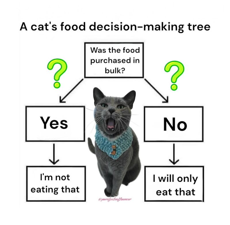 A cat's food decision-making tree ? Yes I'm not eating that Was the food purchased in bulk? ? No ↓ I will only eat that @purrfectinfluencer