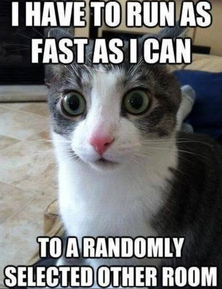 I HAVE TO RUN AS FAST AS I CAN TO A RANDOMLY SELECTED OTHER ROOM