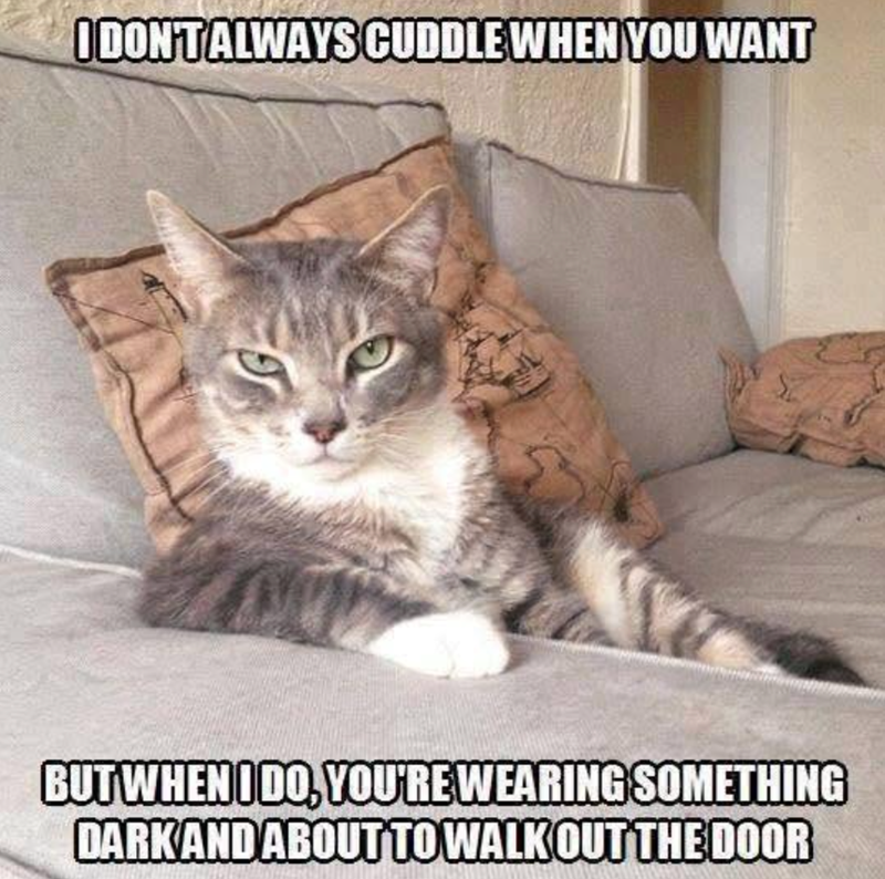 I DON'T ALWAYS CUDDLE WHEN YOU WANT BUT WHEN I DO, YOU'RE WEARING SOMETHING DARKAND ABOUT TO WALK OUT THE DOOR