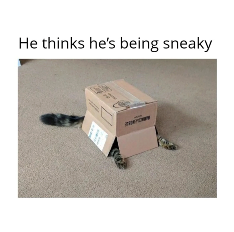 He thinks he's being sneaky MOONE BARNES&NOBLE