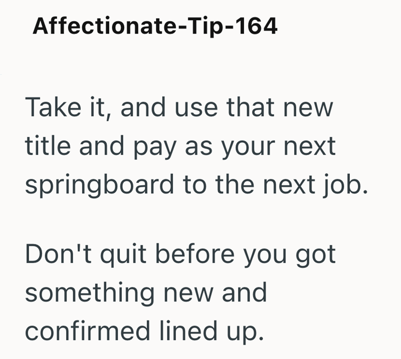 Affectionate-Tip-164 Take it, and use that new title and pay as your next springboard to the next job. Don't quit before you got something new and confirmed lined up.