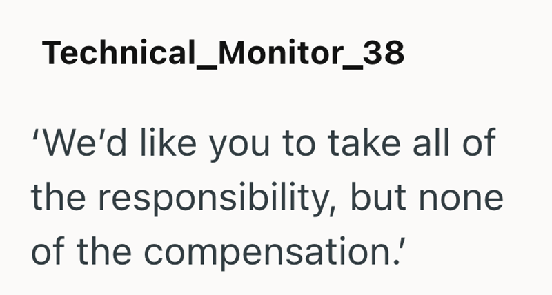Technical_Monitor_38 'We'd like you to take all of the responsibility, but none of the compensation.'