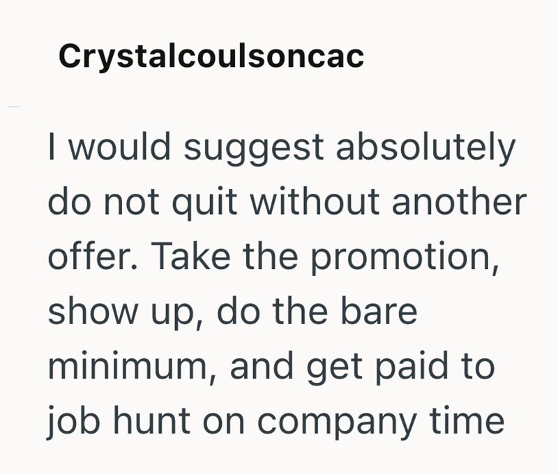 Crystalcoulsoncac I would suggest absolutely do not quit without another offer. Take the promotion, show up, do the bare minimum, and get paid to job hunt on company time