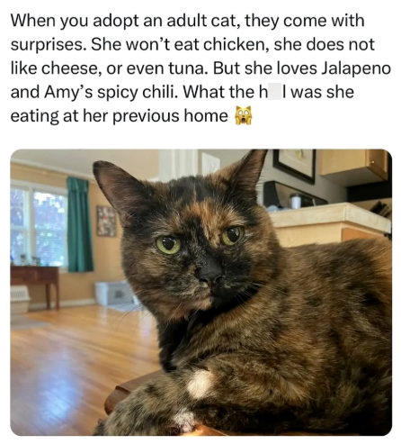 When you adopt an adult cat, they come with surprises. She won't eat chicken, she does not like cheese, or even tuna. But she loves Jalapeno and Amy's spicy chili. What the h I was she eating at her previous home