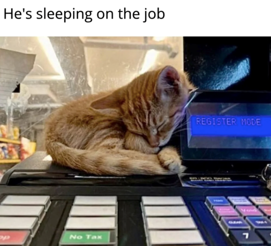 He's sleeping on the job No Tax REGISTER MODE