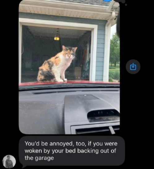 You'd be annoyed, too, if you were woken by your bed backing out of the garage