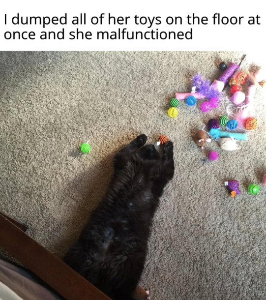 I dumped all of her toys on the floor at once and she malfunctioned