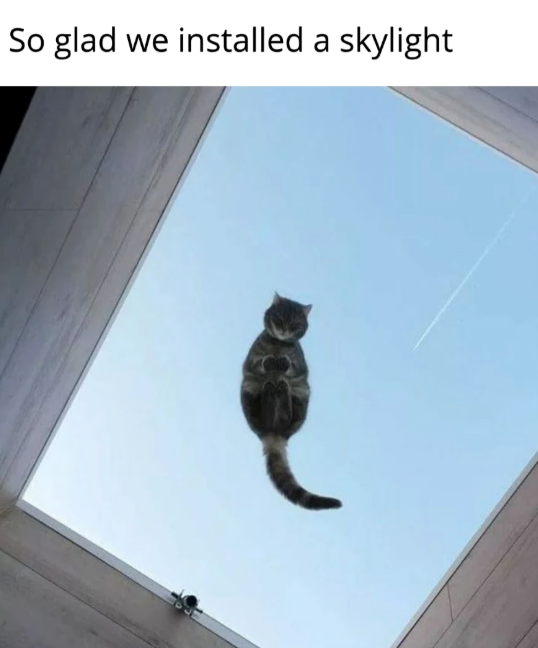 So glad we installed a skylight