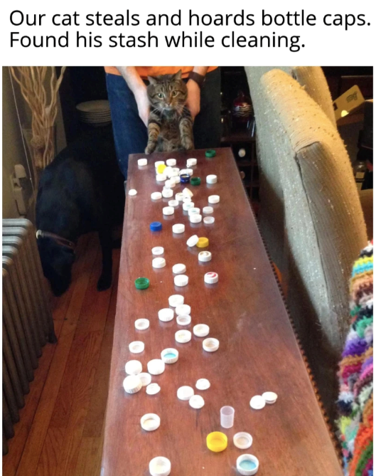 Our cat steals and hoards bottle caps. Found his stash while cleaning.