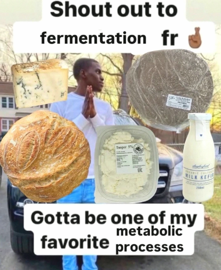 Shout out to fermentation fr Tarpor 5% ERC MILK KEFI Gotta be one of my metabolic favorite processes 250