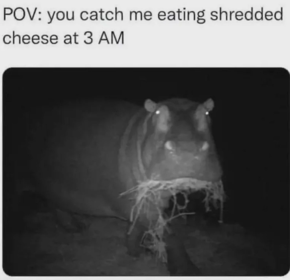 POV: you catch me eating shredded cheese at 3 AM